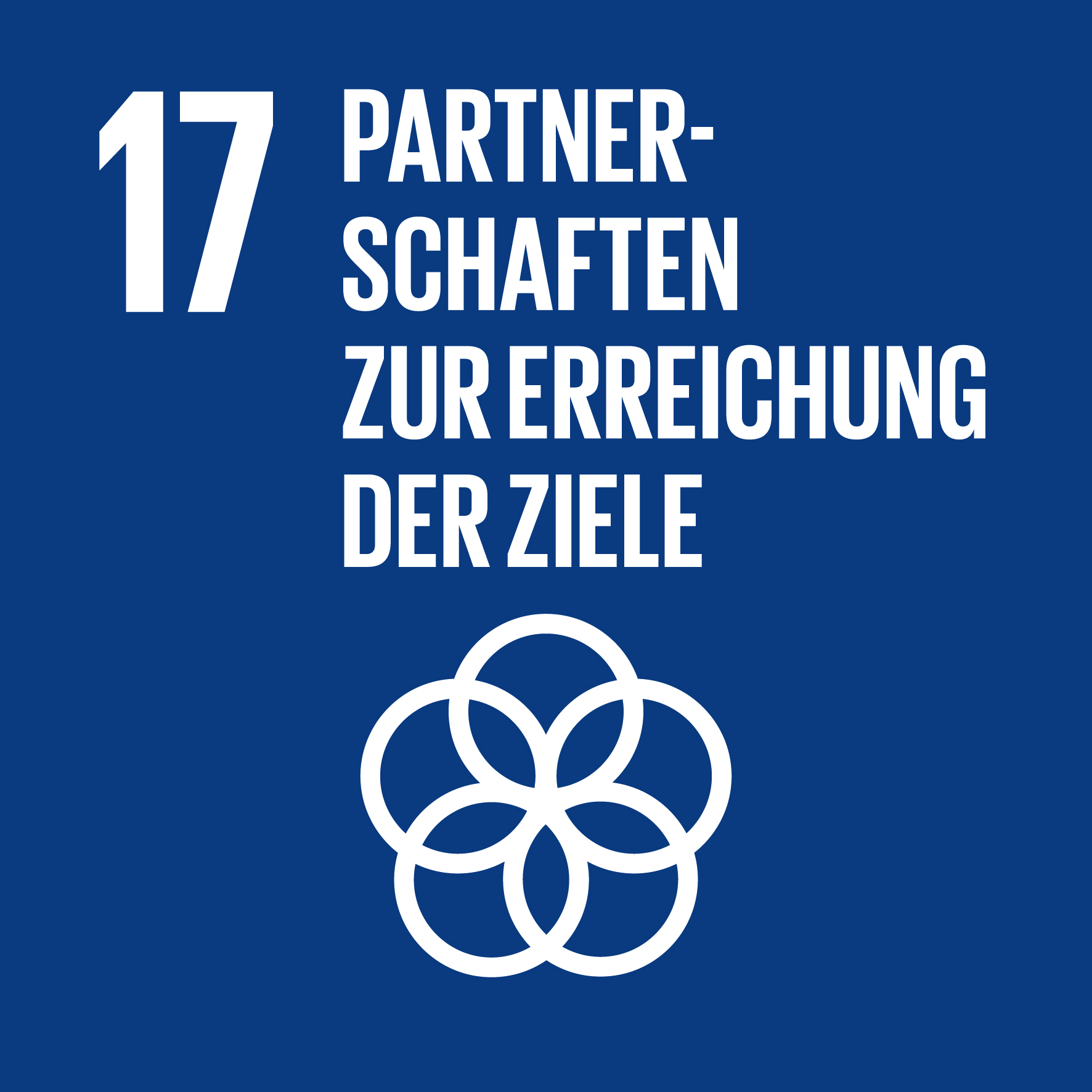 Nachhaltigkeitsziel 17: Partnerschaften zur Erreichung der Ziele
