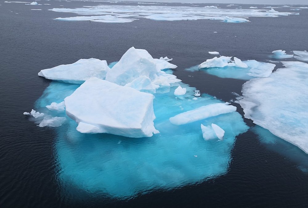 Blick auf das Eismeer mit einigen Eisschollen
